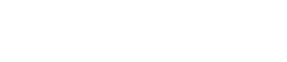 Kirchner & Kollegen